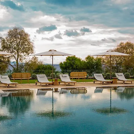 Hotel Palaia